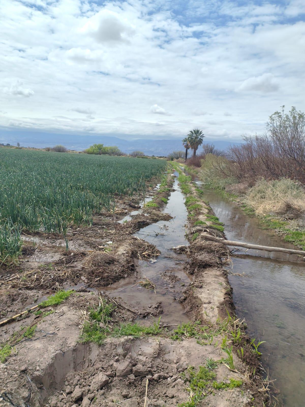Campo en venta — foto 1