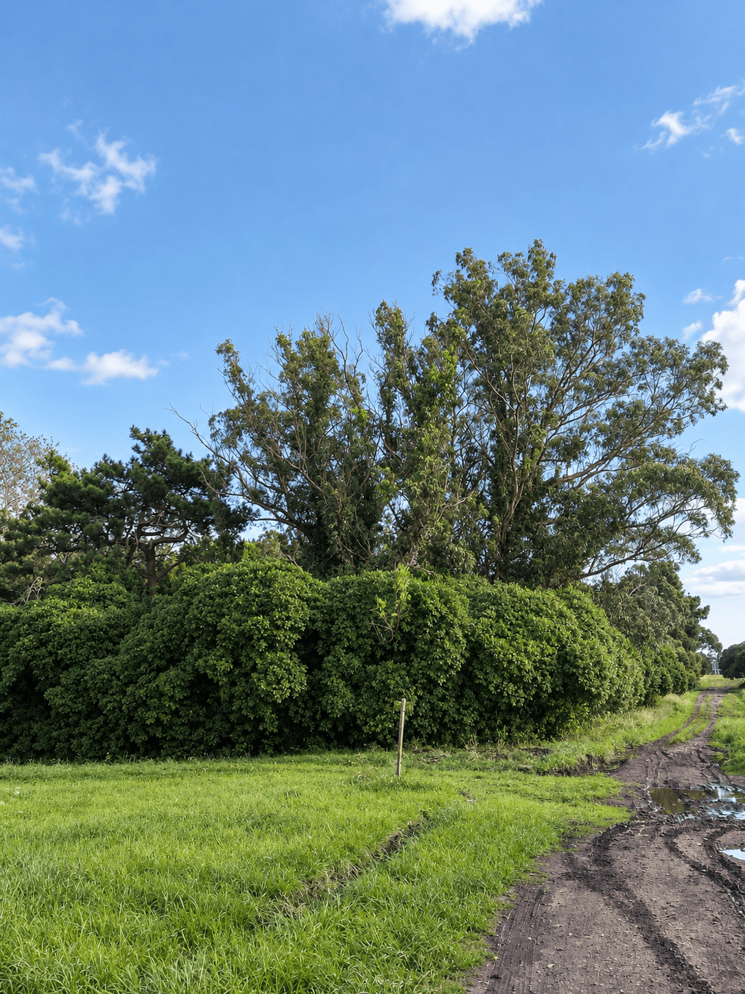 Terreno en venta en Chapadmalal, Mar del Plata. — foto 1