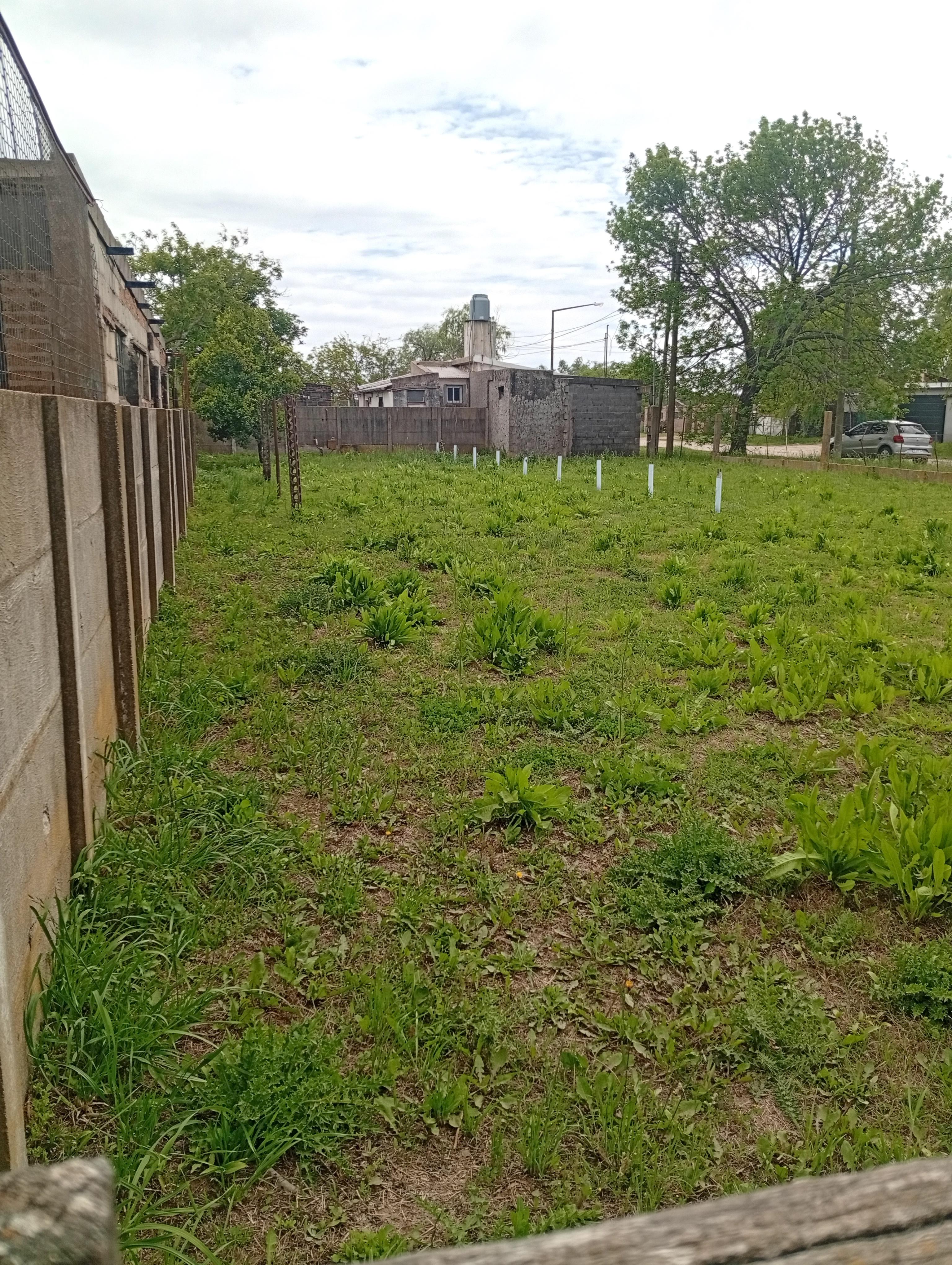 Terreno en venta en Venado Tuerto — foto 1