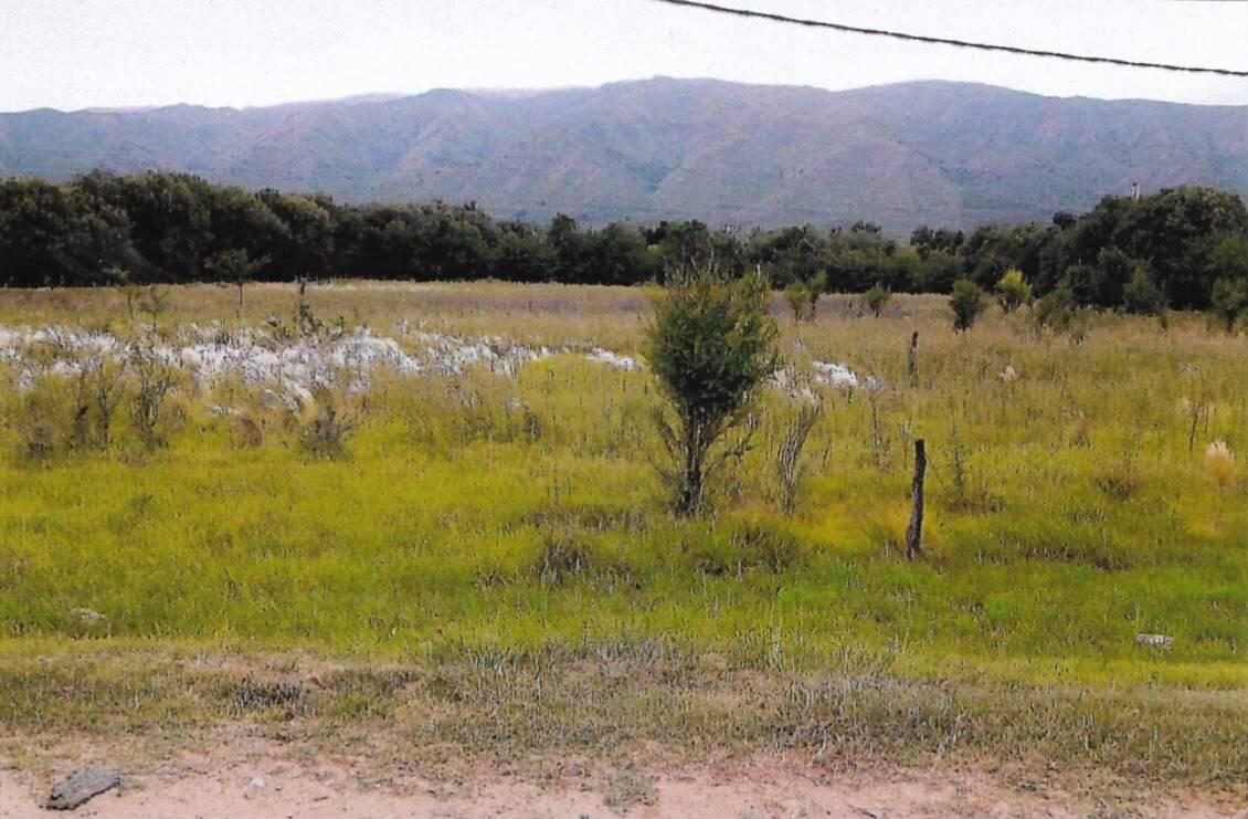 OPORTUNIDAD ÚNICA DE INVERSIÓN: CAMPO SERRANO DE 99,5 HA EN COSQUÍN — foto 1