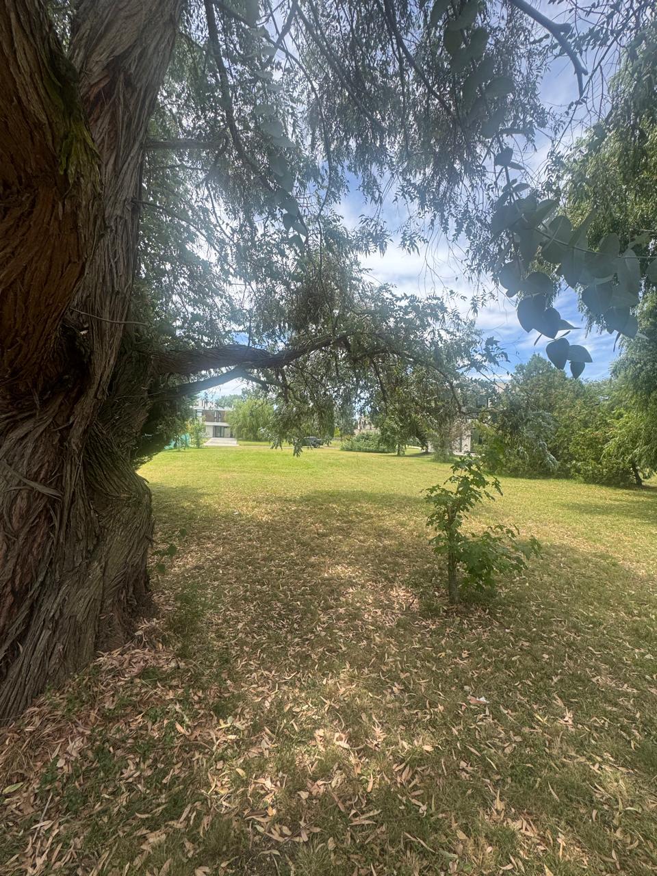 Terreno en venta en La Plata — foto 1