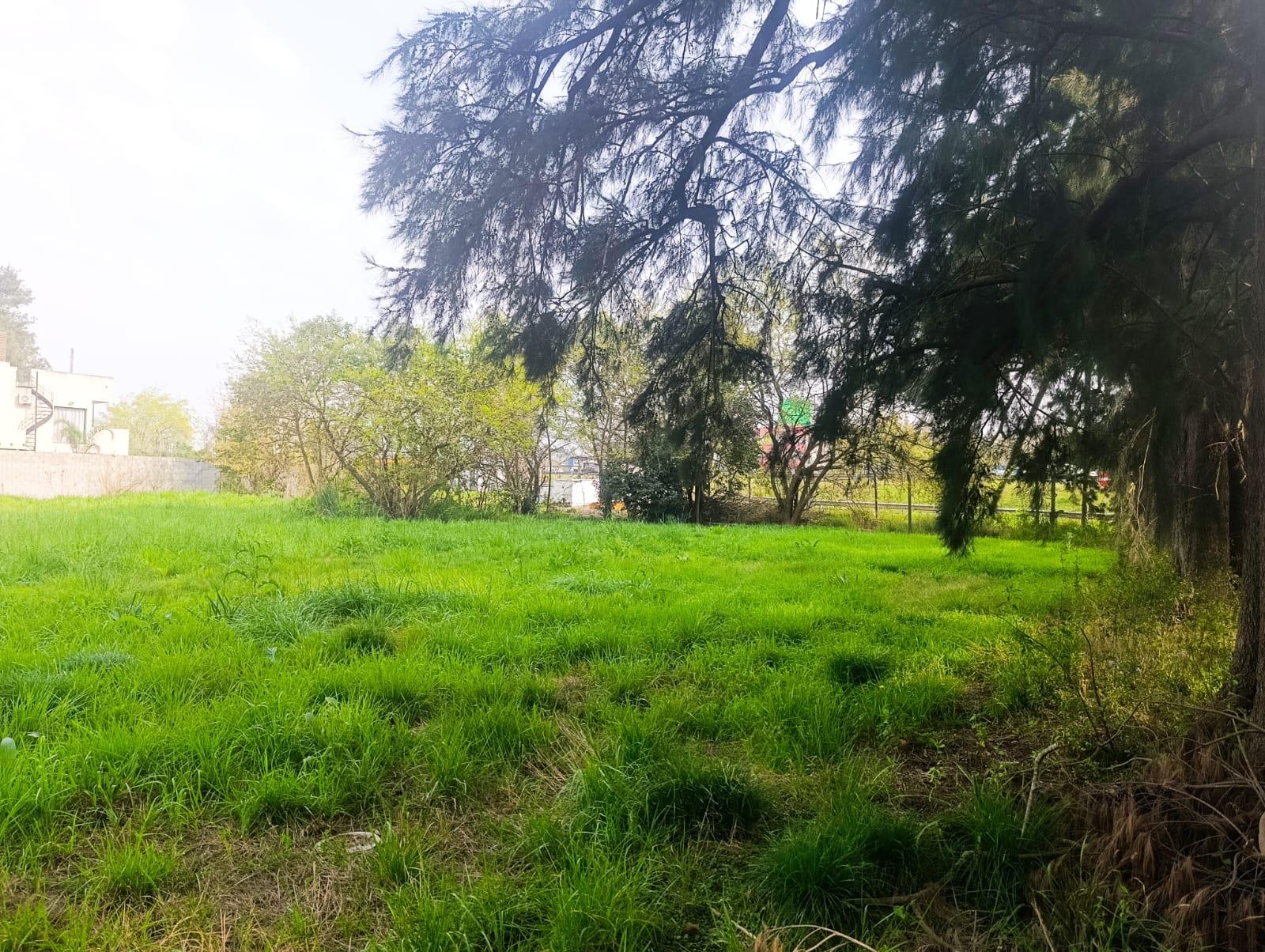 VENTA-LOTE 871M² | KM 50 RUTA 8 - PILAR | TODOS LOS SERVICIOS — foto 1
