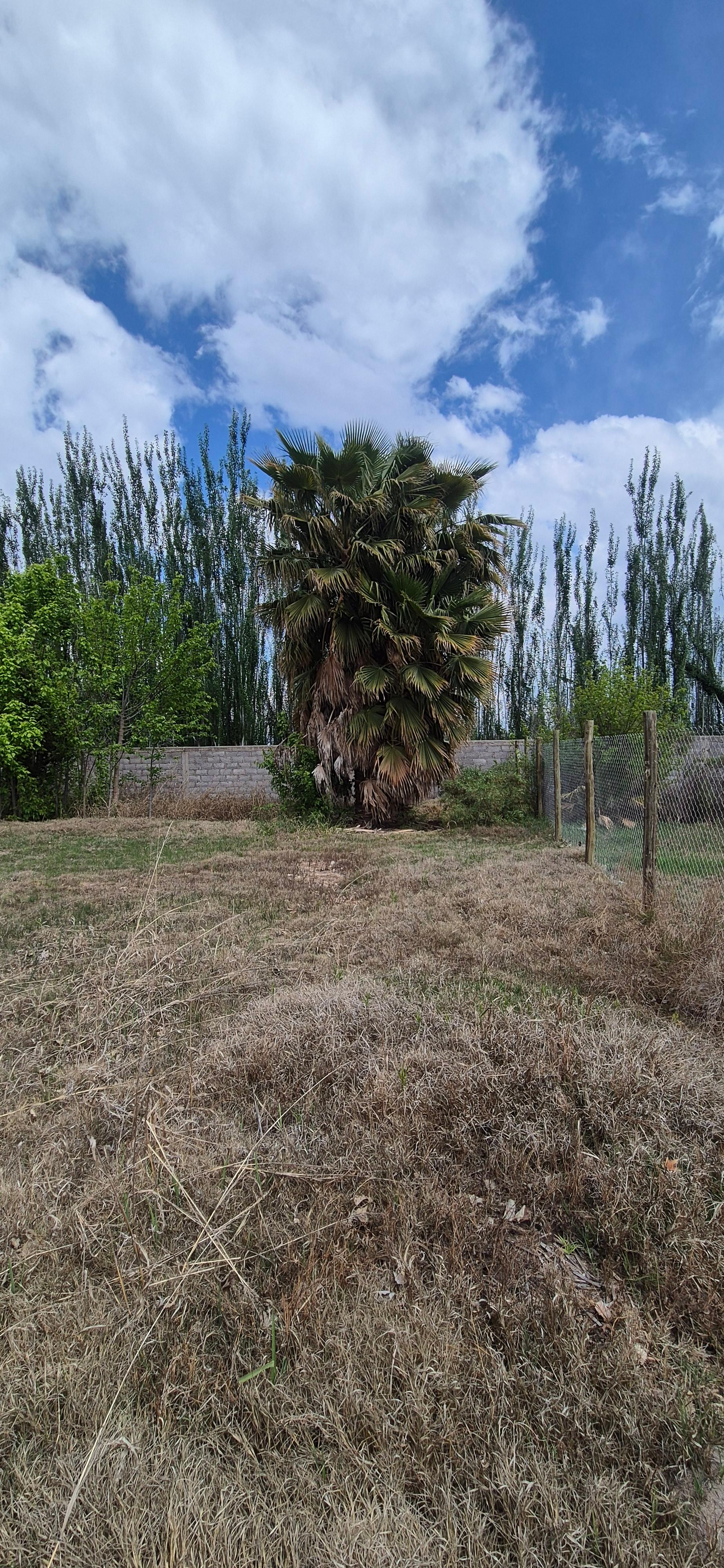 Terreno en venta en Corralitos — foto 1